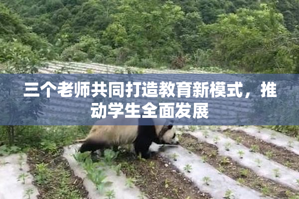 三个老师共同打造教育新模式，推动学生全面发展
