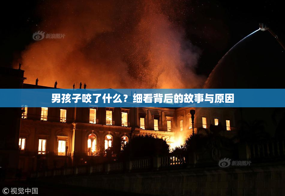 男孩子咬了什么？细看背后的故事与原因