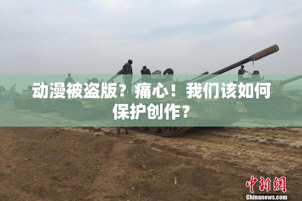 动漫被盗版？痛心！我们该如何保护创作？