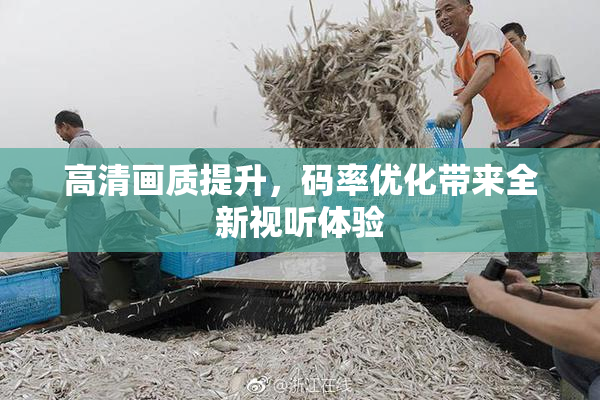 高清画质提升，码率优化带来全新视听体验