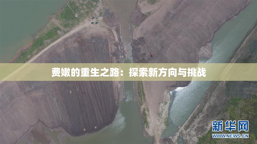 费嫩的重生之路：探索新方向与挑战