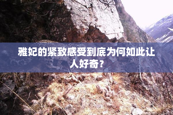 雅妃的紧致感受到底为何如此让人好奇？