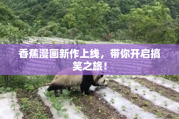 香蕉漫画新作上线，带你开启搞笑之旅！