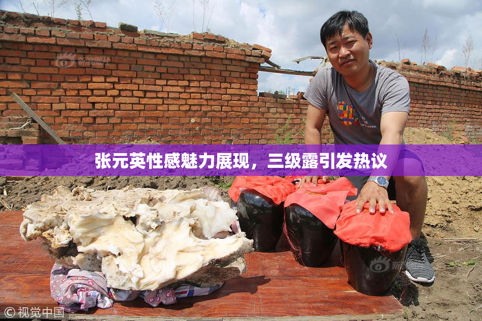 张元英性感魅力展现，三级露引发热议