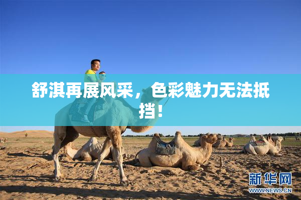 舒淇再展风采，色彩魅力无法抵挡！