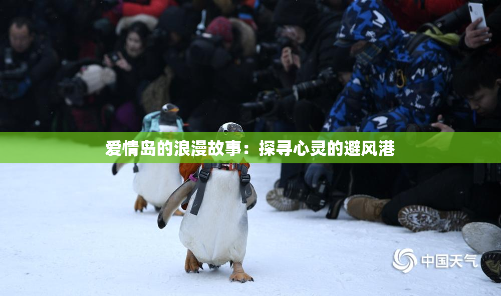 爱情岛的浪漫故事：探寻心灵的避风港