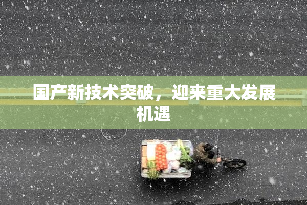 国产新技术突破，迎来重大发展机遇