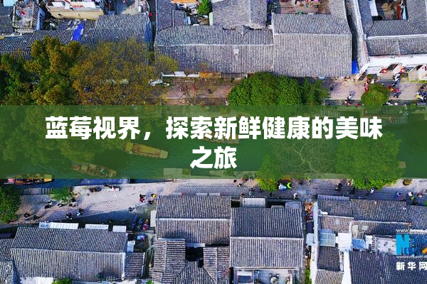 蓝莓视界，探索新鲜健康的美味之旅