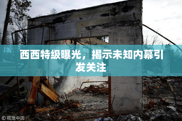 西西特级曝光，揭示未知内幕引发关注