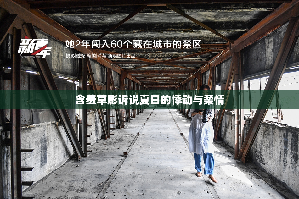 含羞草影诉说夏日的悸动与柔情