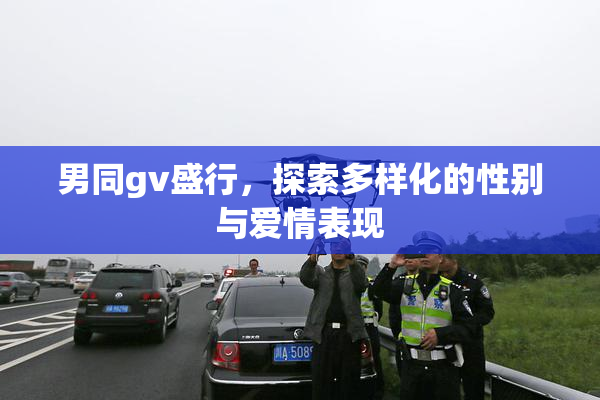 男同gv盛行，探索多样化的性别与爱情表现