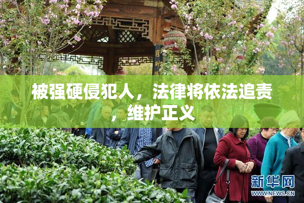 被强硬侵犯人，法律将依法追责，维护正义