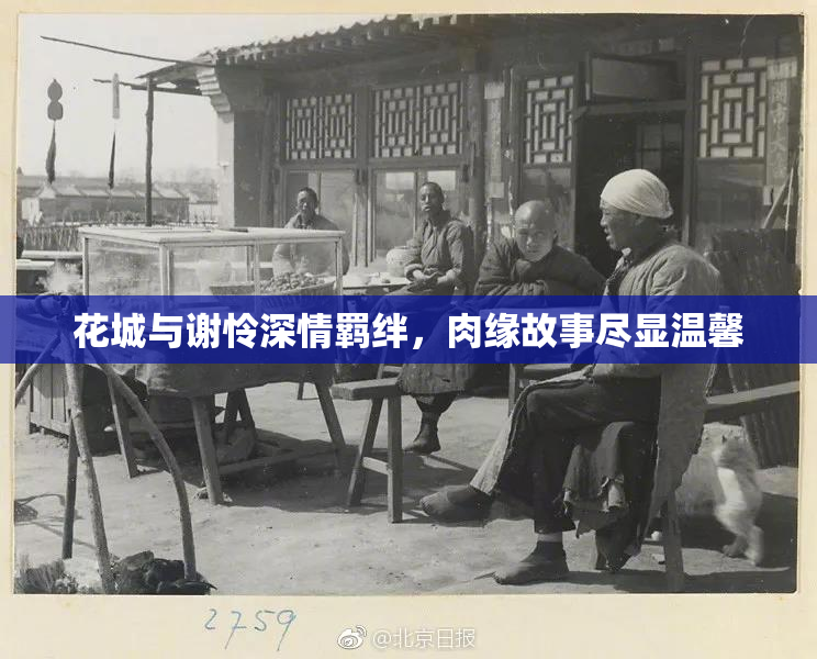 花城与谢怜深情羁绊，肉缘故事尽显温馨