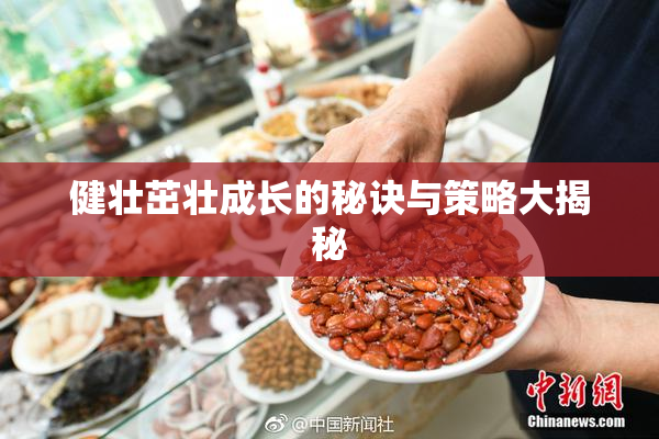 健壮茁壮成长的秘诀与策略大揭秘