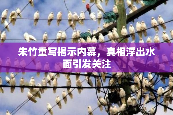朱竹重写揭示内幕，真相浮出水面引发关注