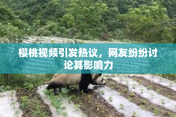 樱桃视频引发热议，网友纷纷讨论其影响力