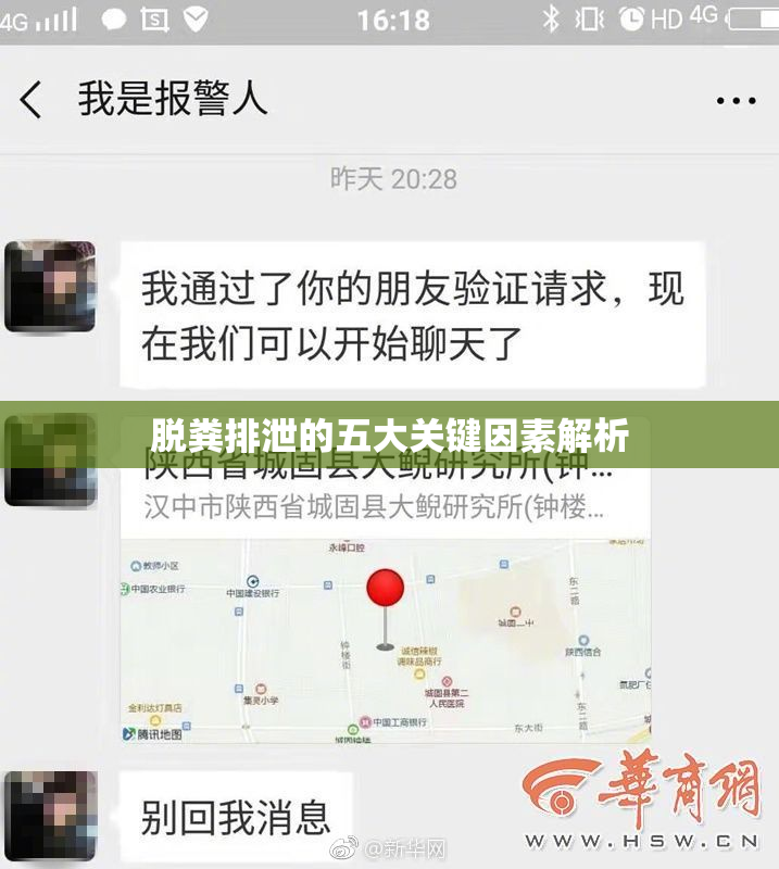 脱粪排泄的五大关键因素解析