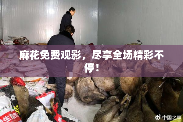 麻花免费观影，尽享全场精彩不停！