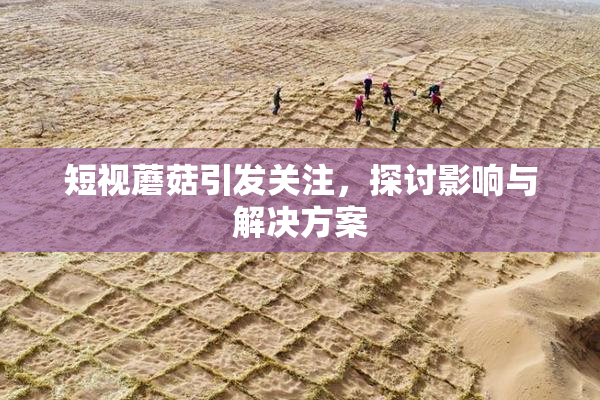 短视蘑菇引发关注，探讨影响与解决方案