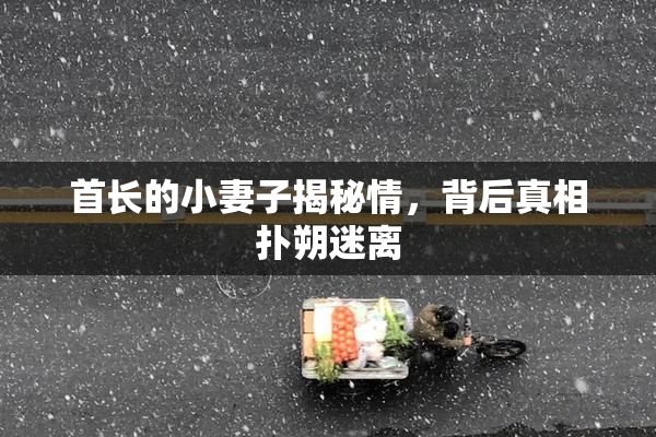 首长的小妻子揭秘情，背后真相扑朔迷离