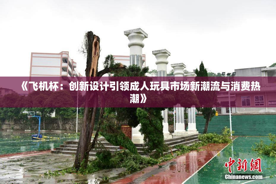 《飞机杯：创新设计引领成人玩具市场新潮流与消费热潮》