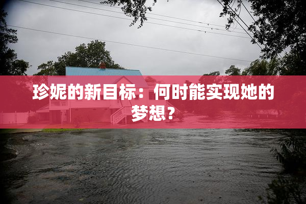 珍妮的新目标：何时能实现她的梦想？