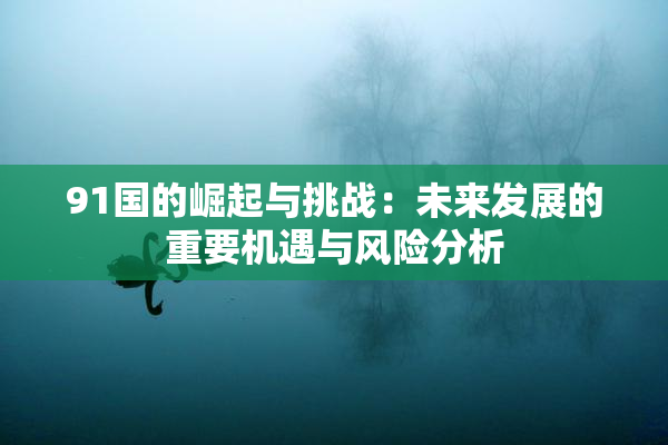 91国的崛起与挑战：未来发展的重要机遇与风险分析