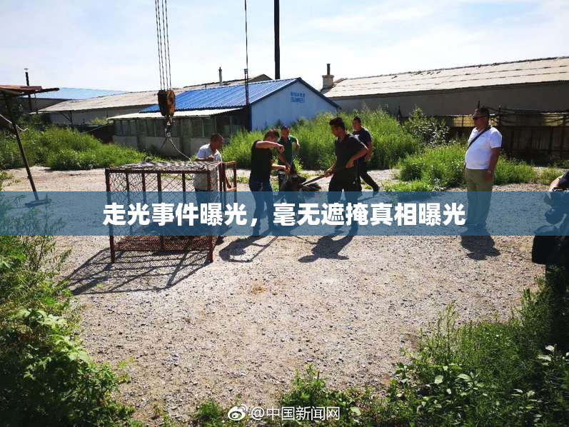 走光事件曝光，毫无遮掩真相曝光