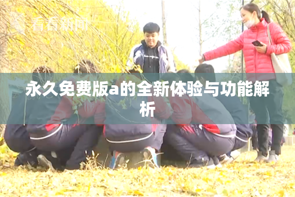 永久免费版a的全新体验与功能解析