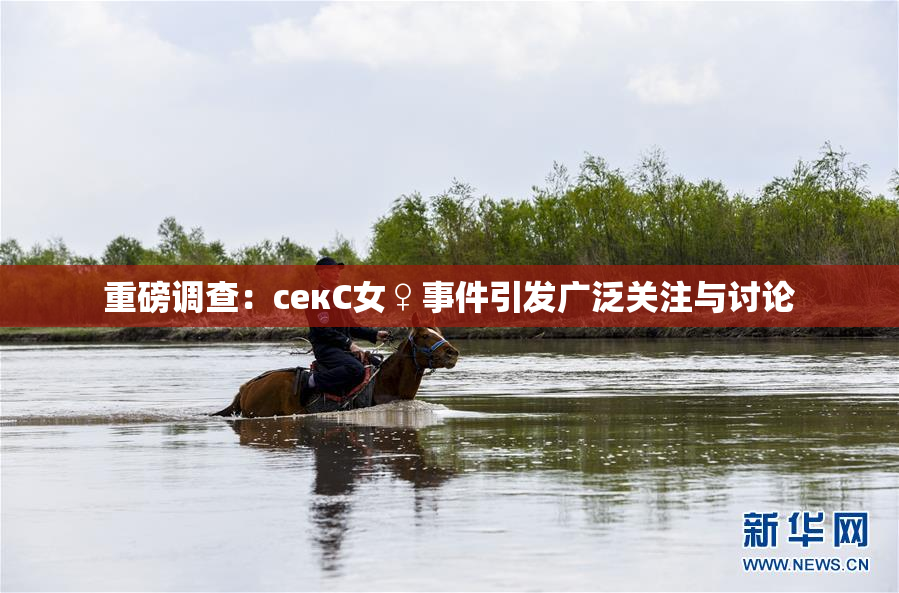 重磅调查：секС女♀事件引发广泛关注与讨论