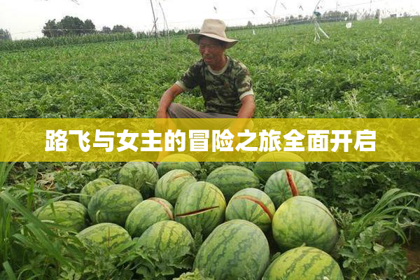 路飞与女主的冒险之旅全面开启