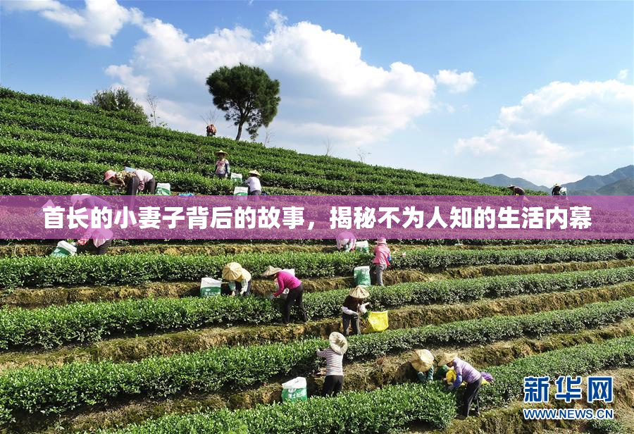 首长的小妻子背后的故事，揭秘不为人知的生活内幕