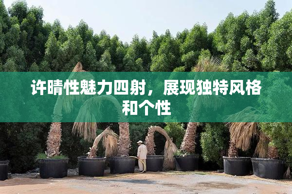许晴性魅力四射，展现独特风格和个性