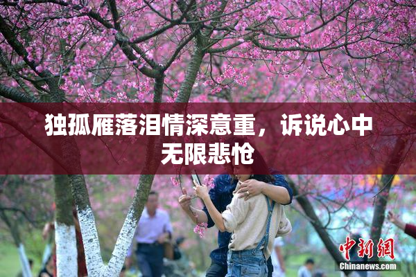 独孤雁落泪情深意重，诉说心中无限悲怆
