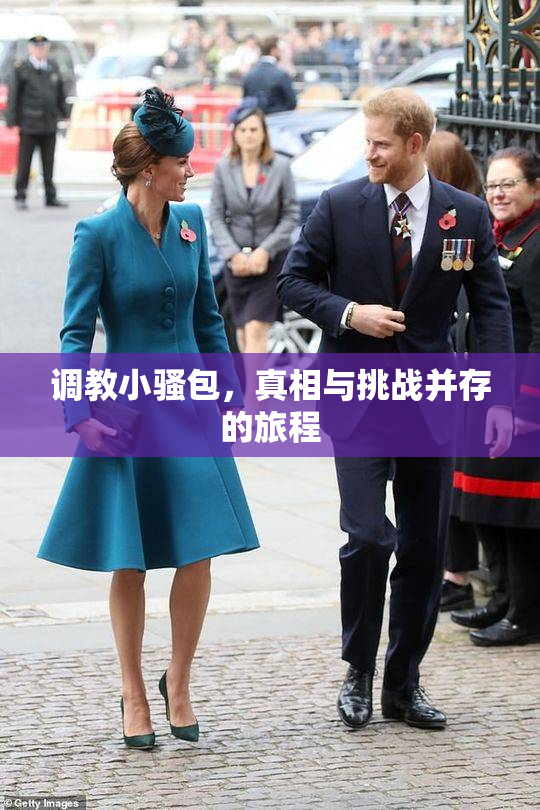 调教小骚包，真相与挑战并存的旅程