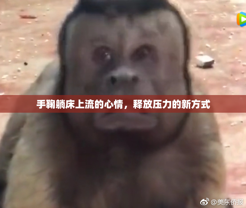手鞠躺床上流的心情，释放压力的新方式