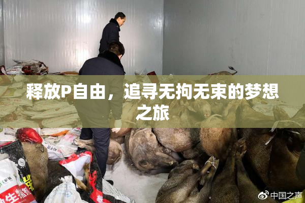 释放P自由，追寻无拘无束的梦想之旅