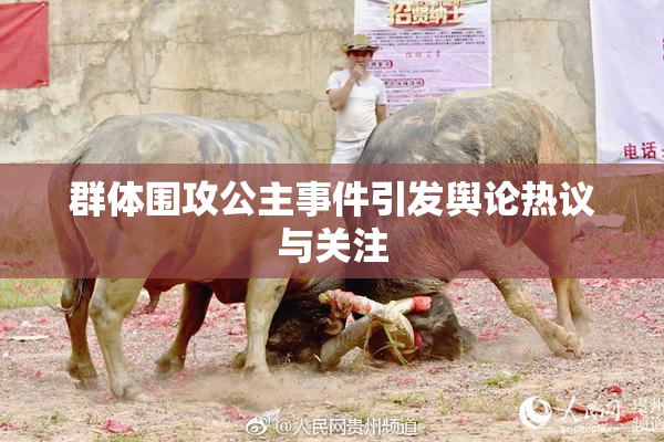 群体围攻公主事件引发舆论热议与关注