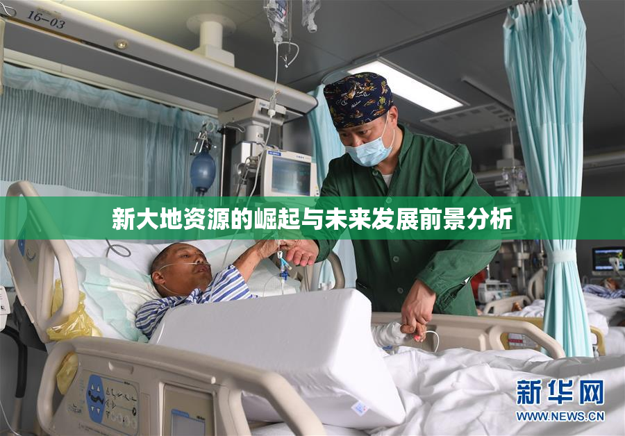 新大地资源的崛起与未来发展前景分析