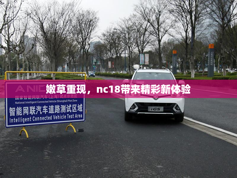 嫩草重现，nc18带来精彩新体验