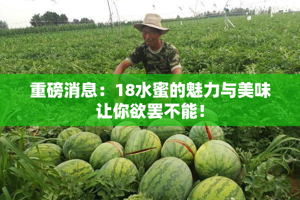 重磅消息：18水蜜的魅力与美味让你欲罢不能！