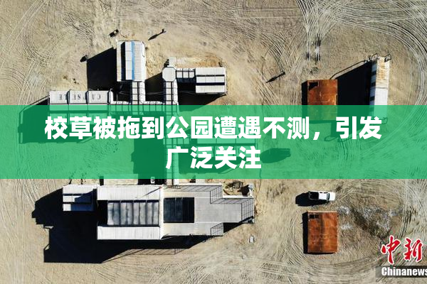校草被拖到公园遭遇不测，引发广泛关注