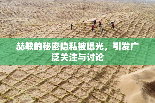 赫敏的秘密隐私被曝光，引发广泛关注与讨论