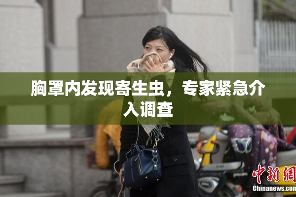 胸罩内发现寄生虫，专家紧急介入调查