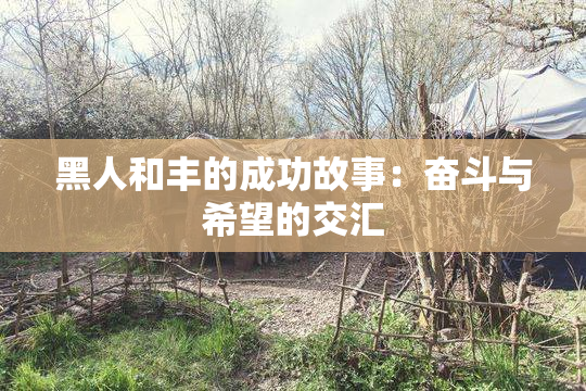 黑人和丰的成功故事：奋斗与希望的交汇