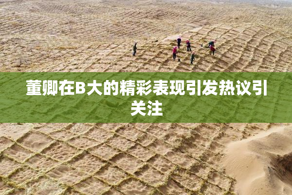 董卿在B大的精彩表现引发热议引关注