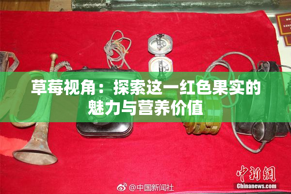 草莓视角：探索这一红色果实的魅力与营养价值