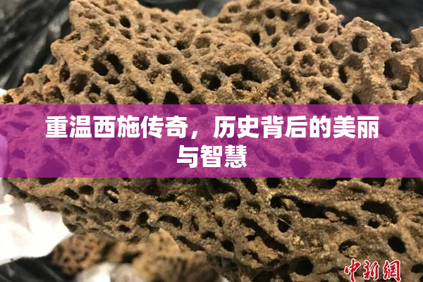 重温西施传奇，历史背后的美丽与智慧