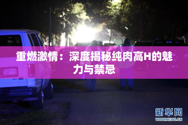重燃激情：深度揭秘纯肉高H的魅力与禁忌