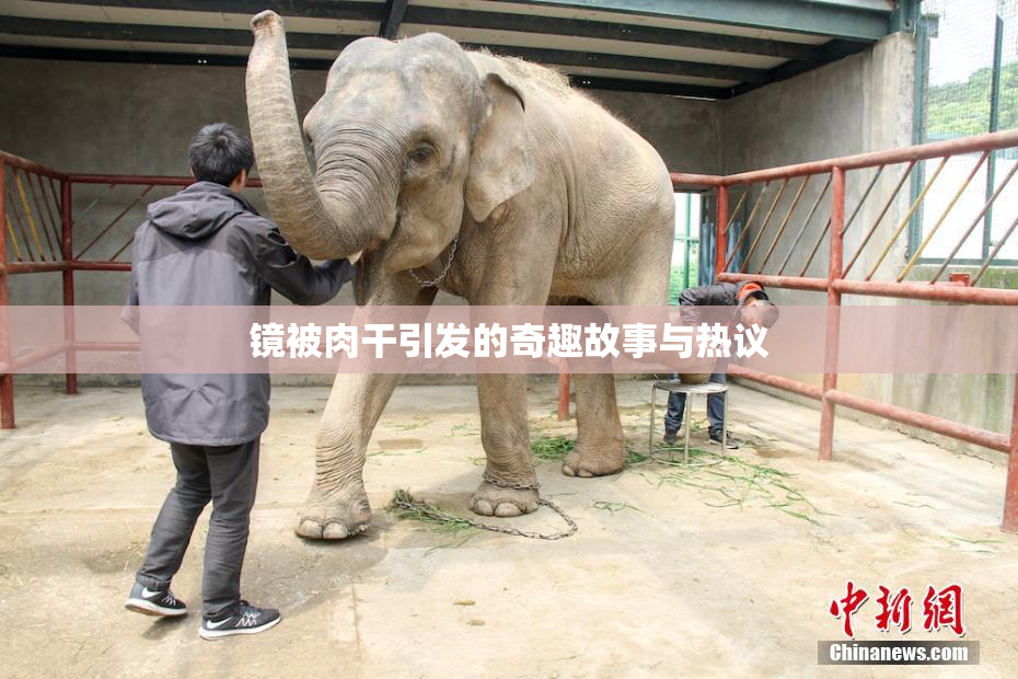 镜被肉干引发的奇趣故事与热议